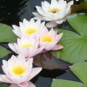 Sandra YogaAtman Barcelona